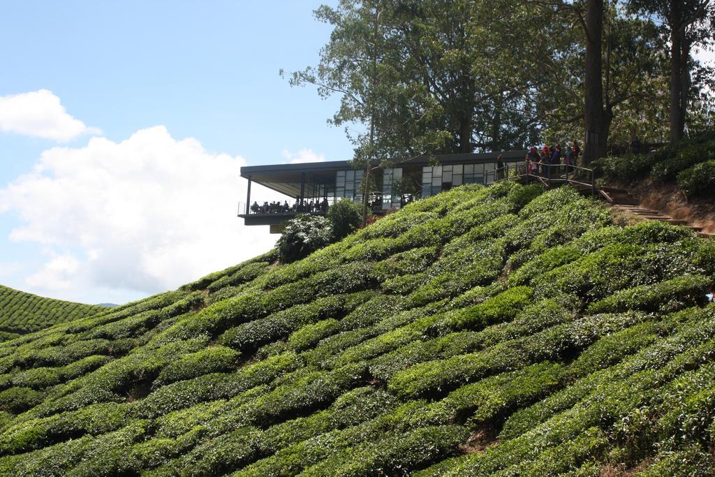 Cameron Strawberry Residence Cameron Highlands Bagian luar foto