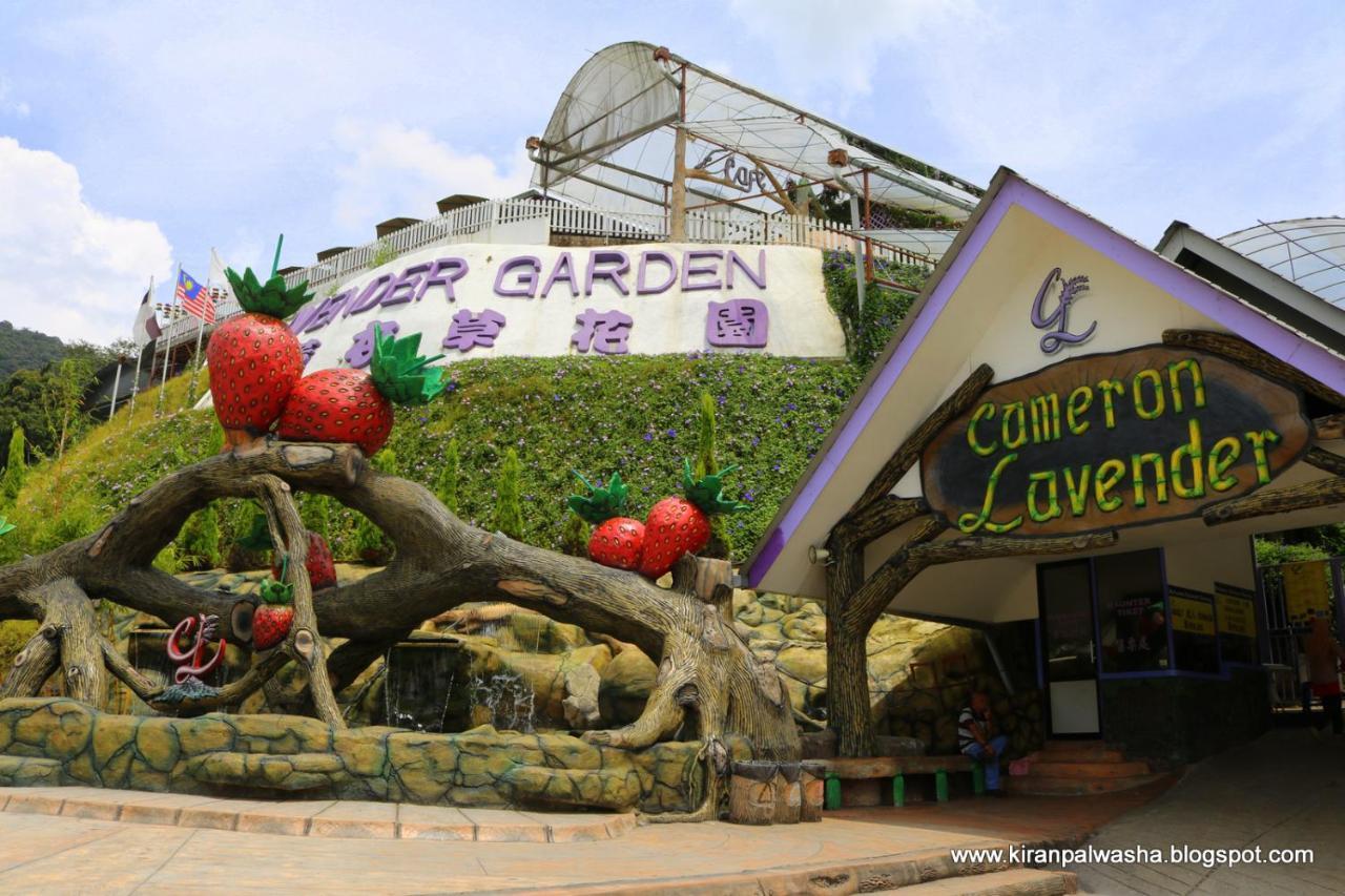 Cameron Strawberry Residence Cameron Highlands Bagian luar foto